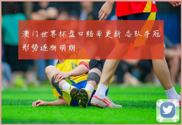 澳门世界杯盘口赔率更新 各队夺冠形势逐渐明朗