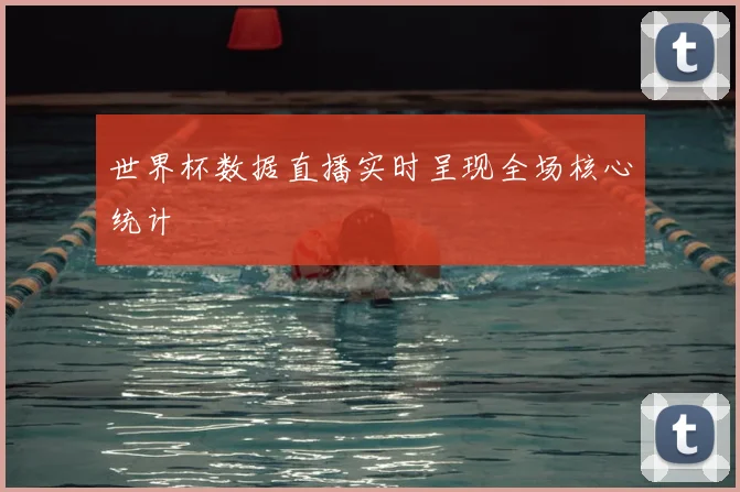 世界杯数据直播实时呈现全场核心统计