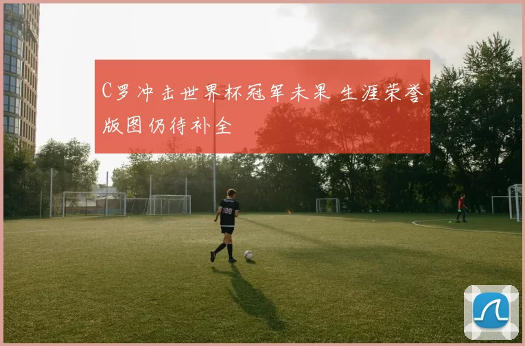 C罗冲击世界杯冠军未果 生涯荣誉版图仍待补全