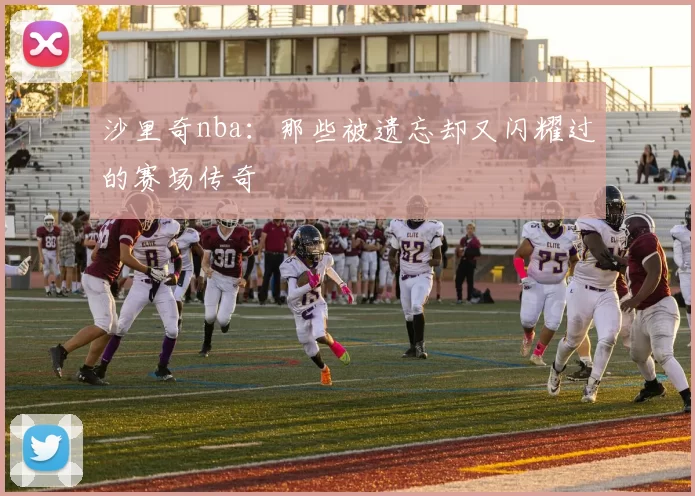 沙里奇nba:那些被遗忘却又闪耀过的赛场传奇