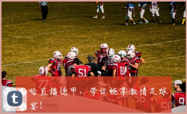 哈哈直播德甲，带你畅享激情足球盛宴！