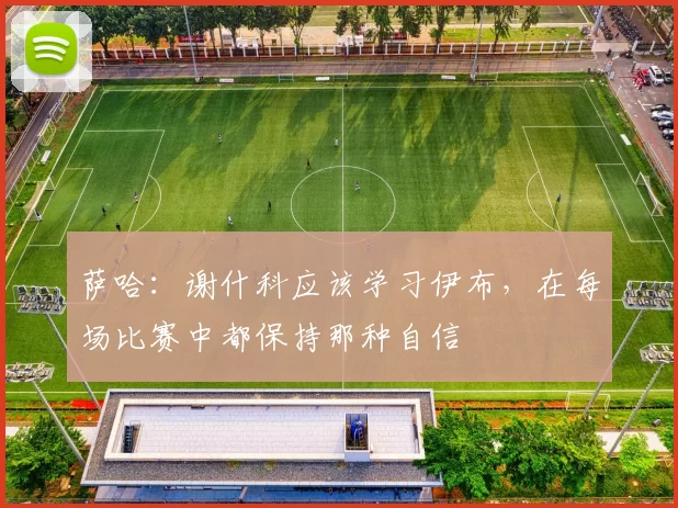 萨哈:谢什科应该学习伊布,在每场比赛中都保持那种自信