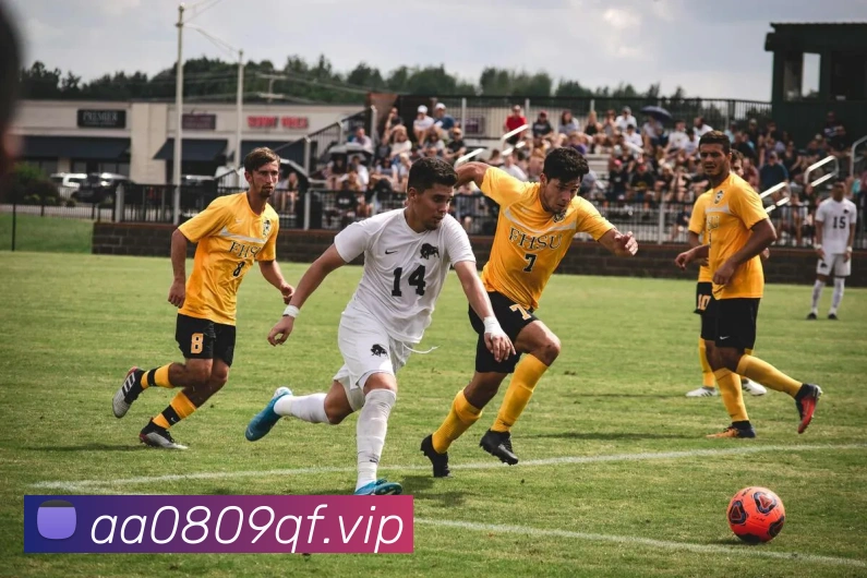 mksports官网服务体系
